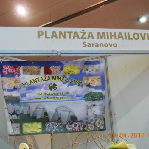 plantaa_mihailovi_10_20110507_1955289494