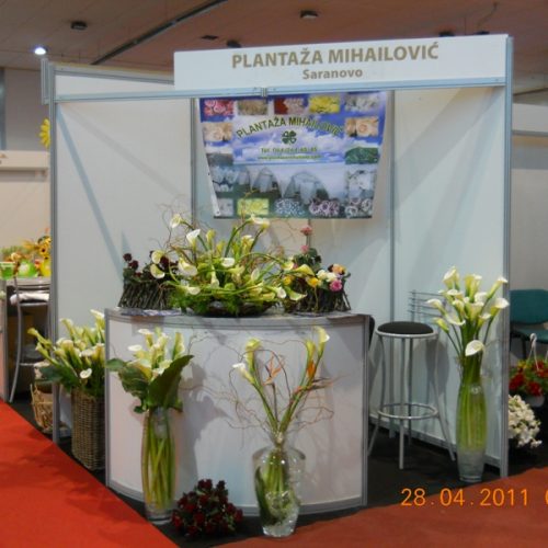 plantaa_mihailovi_2_20110507_1836343454