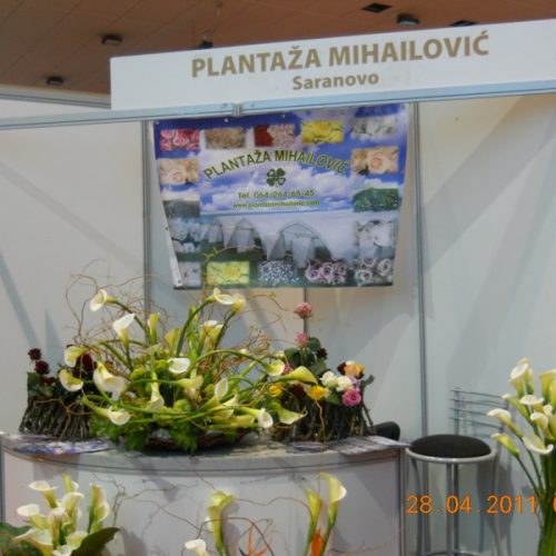plantaa_mihailovi_3_20110507_1458526282